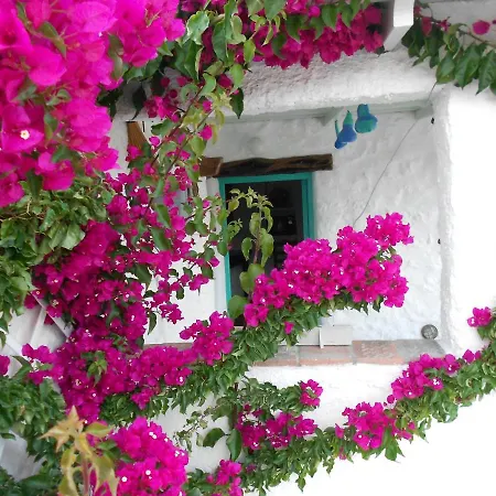 Eco House Casa de Férias