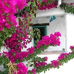 Eco House بيت للعطل