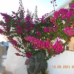 Eco House