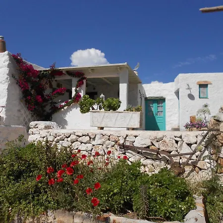 Eco House *