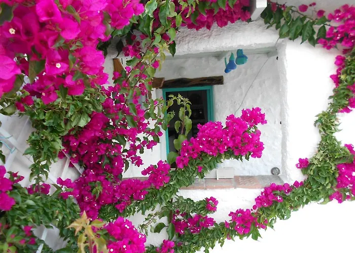 Eco House بيت للعطل